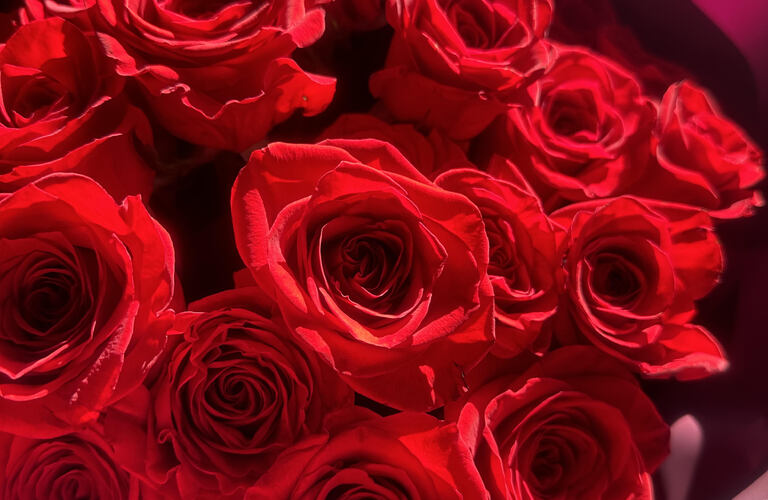 バラで伝える愛のメッセージ。特別な瞬間を彩る花束を、あなたのために。