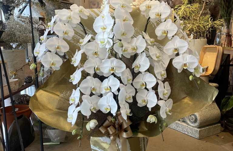 特別な日を彩る！那覇で人気の胡蝶蘭とおしゃれな花束の配達サービス
